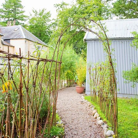 Tin Cabin In Peaceful Angus Glen Glenogil エクステリア 写真